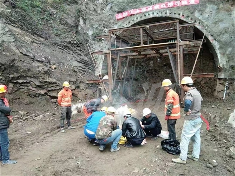 应用,案例